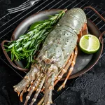 bamboo lobster bali – raw lobster with lime and fresh rosemary