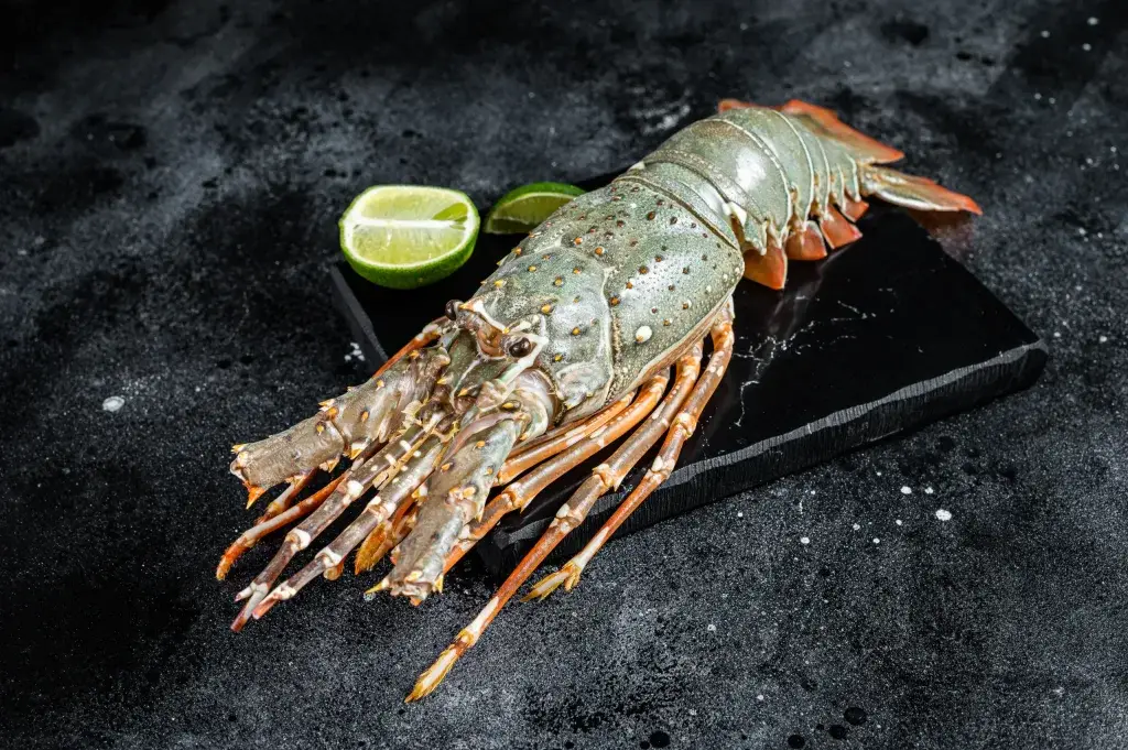 bamboo lobster bali – raw whole lobster with lime on black background