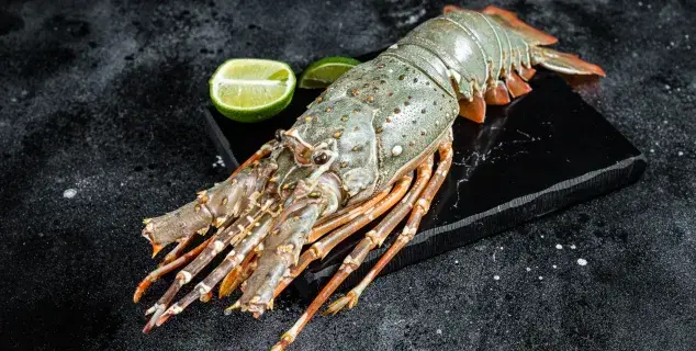 bamboo lobster bali – raw whole lobster with lime on black background
