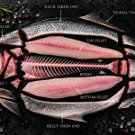 barramundi bali – barramundi butchery cuts diagram, fillets bones collar and fins labelled