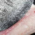 barramundi fillet bali – close-up of fresh barramundi skin and white flesh