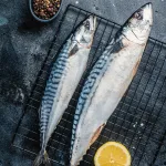 buy whole mackerel bali – premium seafood supplier
