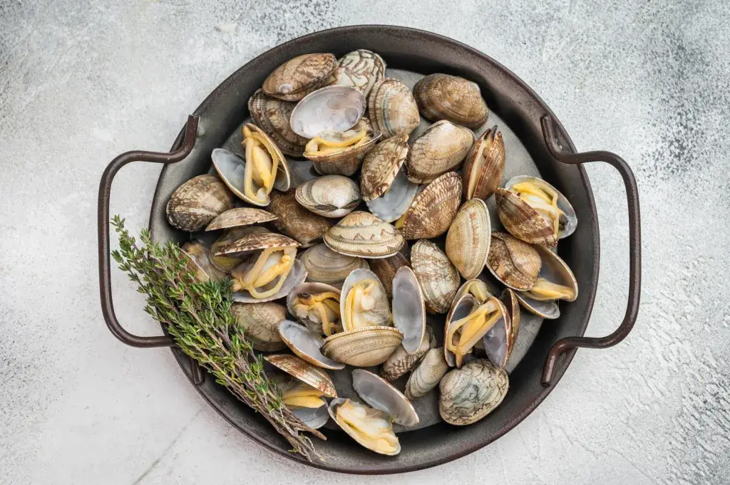 clams bali – steamed vongole clams in round pan with thyme