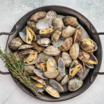 clams bali – steamed vongole clams in round pan with thyme