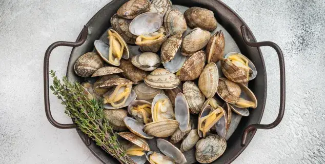 clams bali – steamed vongole clams in round pan with thyme