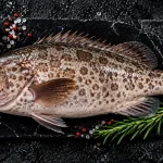 grouper bali – whole fresh grouper kerapu on slate board with salt and rosemary