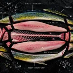 mahi-mahi bali – mahi-mahi dorado butchery cuts diagram, fillets bones collar and fins labelled