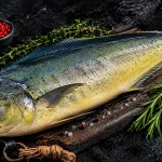 mahi-mahi bali – whole fresh mahi-mahi dorado on wooden board with thyme