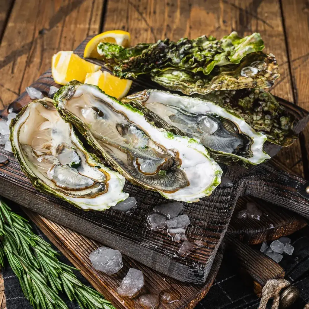 oysters bali