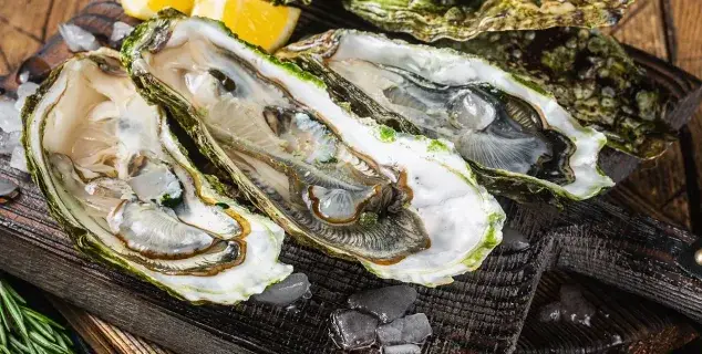 oysters bali