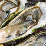 premium oysters bali