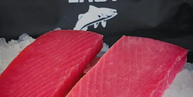 Tuna saku Bali — two sashimi-grade tuna saku blocks on crushed ice, PT Pasific Makanan Laut