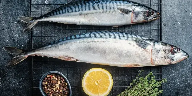 White Fish Bali