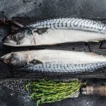 whole mackerel bali delivery – same-day seafood delivery